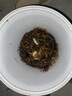 Tab钓鱼失手绳垂钓自动伸缩大物水库专用鱼竿防脱绳脱手绳护杆绳钢丝 钢丝失手绳【拉伸后约1.5米】 实拍图
