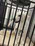 蔻丝【加粗全方管】狗笼子中大型犬一体带厕所分离金毛边牧拉布拉多笼 【三代110款带垫】15MM方管 实拍图