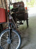 飞鸽飞鸽三轮车老年车成人自行车脚踏车人力老人轻便载货休闲买菜脚蹬 深红色 70型折叠后座 前叉减震 双链条 实拍图