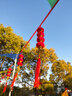 佳妍灯笼拉旗 结婚开业开工乔迁之喜装饰年会团建布置10条70m 实拍图