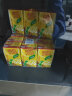 维他奶维他经典柠檬味茶饮料250ml*24盒 柠檬茶整箱装 家庭聚会 分享装 实拍图