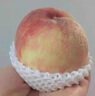 四叔公果蔬阳山镇水蜜桃无锡新鲜桃子【JD顺丰-闪送】脆毛桃新鲜水果礼盒 精品【尝鲜果】单果3-4两 12枚礼盒装【臻选好礼】老农严选 实拍图