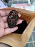 养生茶诺丽果干片云南海南西双版纳特产晒干原产酵 诺丽果精选120g 实拍图