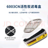 3M6200防毒面具口罩防尘防有机气体防有机蒸气农药喷洒喷漆等配6003滤毒盒 实拍图