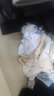 JEANSWEST LIFE真维斯国潮短袖t恤男夏季中国舞狮潮流半袖男大童纯棉宽松打底衫A 实拍图