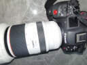 佳能（Canon）RF70-200mm F2.8 L IS USM 远摄镜头 微单镜头 大三元 “小白IS” 实拍图