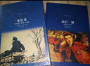 文学名著·经典译林：变色龙契诃夫中短篇小说集（新版） 实拍图
