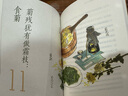 【现货当日发】2025年祖庆说百班千人四年级 四升五 全国小学生寒暑假阅读课外书 百班千人暑期书目我们光芒万丈土拨鼠给闪电写信重返白垩纪少年当追中国星独一无二的伊凡爱德华的奇妙之旅神奇的昆虫王国丛林故 实拍图