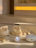 霍曼（Homerun）智能滚动球led闪光球激光逗猫球猫玩具球发光自动变向猫咪 逗猫球官方标配 实拍图