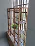 华观家居（Home Giving Furniture）实木质置物架花架子多层室内阳台客厅省空间绿萝落地式花盆展示架 H对称五层碳色 实拍图