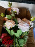 迷.妆牡丹仿真花绢花室内假花干花玫瑰花花束餐桌花摆设客厅装饰花摆件 10支牡丹（香槟粉红奶粉玫红） 实拍图