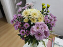 悦多彩优质水养鲜切花 母亲节三八节花束 昆明基地现采直发顺丰生活鲜花 百合2头5支+混色小菊5支 实拍图