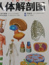 全新3D人体解剖图 人体肌肉解剖运动解剖学断层局部图谱解剖书教材卫生解剖生理学专业基础医学书解剖图谱 实拍图