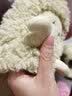 洁丽雅棉拖鞋女士秋冬季室内居家用加绒保暖可爱拖鞋女外穿毛毛鞋月子鞋 绿色 【可爱小羊】 40-41 【适合39-40】 实拍图