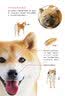开始吧！养一只柴犬 实拍图