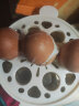 志高（CHIGO）煮蛋器蒸蛋器 家用电蒸锅多功能早餐煮蛋机 防干烧煮蛋神器 可煮7个蛋【配蒸碗+量杯】ZDQ208 实拍图