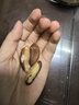 老香农新货鲍鱼果仁每日坚果正宗巴西沙漠果非新疆特产干果孕妇小零食 1斤【原味】250g*2袋 实拍图
