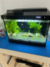 森森金麟超白玻璃鱼缸客厅小型懒人鱼缸LE-380B家用水族箱生态金鱼缸 晒单实拍图