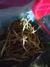 昱品源 黄花菜500g 山珍干货农家金针菜干煲汤配菜忘忧草脱水蔬菜干南北干货 500g袋装 实拍图