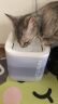 小佩宠物智能饮水机SOLO SE 暖白色 智能饮水机猫狗饮水用品无线水泵 晒单实拍图