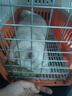 COCS宠物航空箱猫咪太空舱外出便携猫包托运行李箱猫兔子车载笼手提式 航空箱挂碗/1只装 实拍图