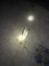 水中貂B型连接器海竿配件8字环连接扣快速不锈钢强拉力不伤线路亚配件 4号(50只装)（主线8#以上） 实拍图