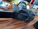 索尼（SONY） ILCE-A7M4全画幅微单数码相机专业级五轴防抖 4K 60p视频录制a7m4 A7M4单机身（不含镜头） 官方标配【仅出厂配置】推荐购买套餐 晒单实拍图