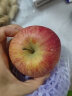 阿克苏苹果水果 新疆阿克苏冰糖心苹果红富士丑苹果 新鲜时令水果礼盒 10斤装精选一级果 单果75-85mm 晒单实拍图