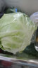 密水农家密云农家 鲜摘圆白菜1个 本地自种甘蓝新鲜时令蔬菜 500g 圆白菜 实拍图