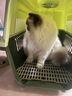 华元宠具（hoopet）猫狗航空箱宠物手提笼子宠物旅行箱车载猫包太空舱便携大号外出包 加固铁门森野绿-20斤内含隔尿板 实拍图