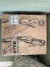 500年大师经典《速写人物》画册书籍西方素描头像人体临摹高清精选手稿原作向安格尔鲁本斯德加学艺术技法 晒单实拍图