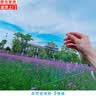森邂礼收集春天18张彩色玻璃纸透明塑料片幼儿园儿童手工硬diy透光胶片塑料纸pvc膜 A4透明硬5张装 实拍图
