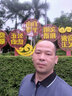 雅鹿短袖T恤男夏季薄款透气体恤男士正装翻领polo上衣商务休闲半袖 卡其色 4XL 【建议体重140-160斤】 实拍图