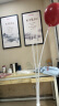 青苇气球地飘路引立柱2套装（无气球）母亲节生日场景布置婚房装饰 实拍图