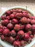 山胖子沂蒙山农场新鲜山楂果大金星山楂山里红糖葫芦球用应季生鲜水果 大金星山楂3斤+取核器 实拍图