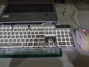 狼途L1 有线 键盘DSP环境降噪静音耐磨防水发光 电竞游戏家用办公台式笔记本电脑一体机适用 L1【低音】有线白色白光+G1PRO鼠标 单光 晒单实拍图
