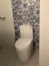SKJ马桶地排大冲力坑距其他孔距坑距普通座便器 A款150mm坑距PP马桶 实拍图