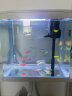 技研精工（JIYJNJINGGONG）鱼缸客厅小型家用带增氧桌面超白玻璃过滤免换水生态懒人鱼缸320 晒单实拍图