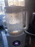 荣事达（Royalstar）破壁机家用豆浆机大容量多功能预约定时料理机榨汁机婴儿宝宝免滤辅食机 RZ-206A 实拍图