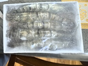 粤海湾南海巨型黑虎虾超大特大号 老虎虾大虾生鲜海鲜礼盒年货送礼虾类 长25-27cm 800g(净重)  巨型5头 顺丰空运/深圳|青岛|武汉发货 实拍图