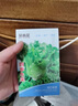 贝意品生菜种籽清脆爽口四季种子阳台盆栽菜园沙拉蔬菜籽种子菜籽大全 实拍图