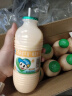 李子园甜牛奶乳饮料哈密瓜风味饮品450ml*10瓶整箱学生儿童奶营养早餐奶 实拍图