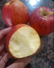 2025新果正宗大凉山丑苹果冰糖心盐源红富士当季孕妇新鲜水果生鲜 5斤 【中大果】75-80mm 实拍图