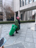 红双喜（DHS）乒乓球拍9星级专业比赛级黑檀木碳素底板狂飙3高档乒乓球拍单拍 七星级直拍H7006【含礼包】 实拍图