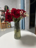 吕姆克花瓶玻璃花瓶摆件工艺品插花仿真干花富贵竹水养花瓶中号透明5043 晒单实拍图