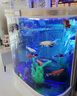 江彩客厅鱼缸欧式双圆弧金鱼缸超白大型水族箱1米1.2米家用半圆柱热带 定制定做+单独下料生产 实拍图