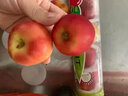 嗯嗯乐新西兰试管火箭小苹果Rockit Apple新鲜进口苹果水果 6筒1470g礼盒装 实拍图