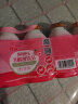 界界乐（Jelley Brown）乳酸菌饮料 水蜜桃味乳酸菌益生菌 95ml*20瓶/箱 进口奶源 进口菌种 儿童奶 实拍图