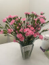 京东鲜花 璀璨花瓶 玻璃摆件客厅插花高级感水晶网红轻奢透明水养玫瑰鲜花 实拍图