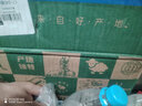 谷开元宁夏滩羊肉羊前腱（带拐筋）净重5斤原切羊肉炖煮食材 源头直发 实拍图